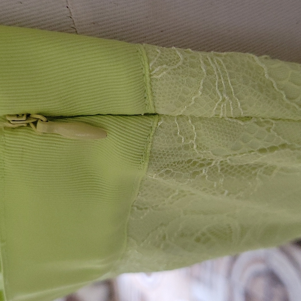 Lace Skirt - Picture 3 of 4